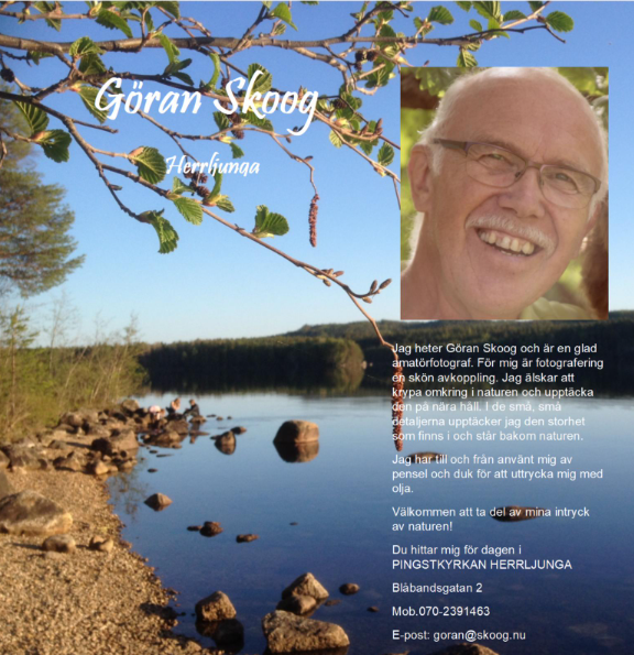 Skärmbild 2025-05-17 095953.png